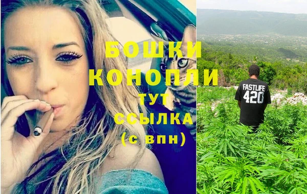 гидропоника Волоколамск