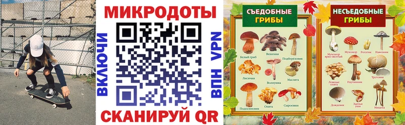 где продают   Карабаш  Псилоцибиновые грибы прущие грибы 